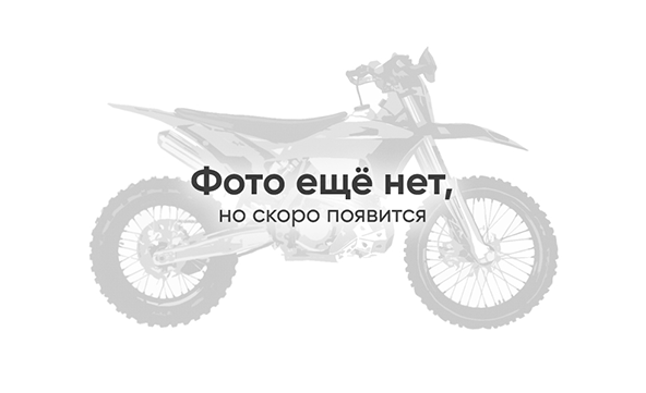 Мотоцикл Avantis Enduro 250 DOHC PRO EFI Exclusive (NC250/177MM) ARS (2024) ПТС