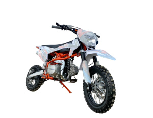 Питбайк Regulmoto PILOT EA 12/10