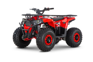 Квадроцикл ATV WELS Trail 125