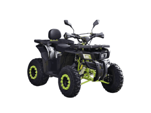 Квадроцикл ATV R-moto Lion 200Х