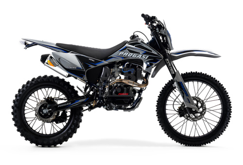 Мотоцикл PROGASI PALMA 250SE CB250D-G (ZS165FMM) Мотоцикл PROGASI PALMA 250SE CB250D-G (ZS165FMM)